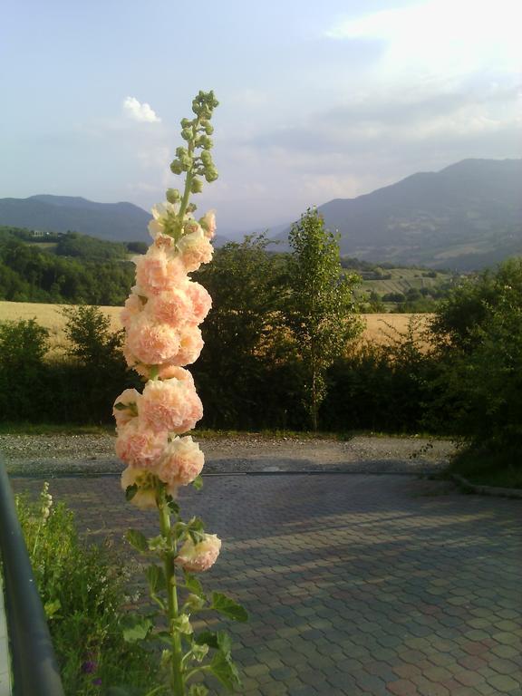 Poggio D'Incanto Bettola エクステリア 写真