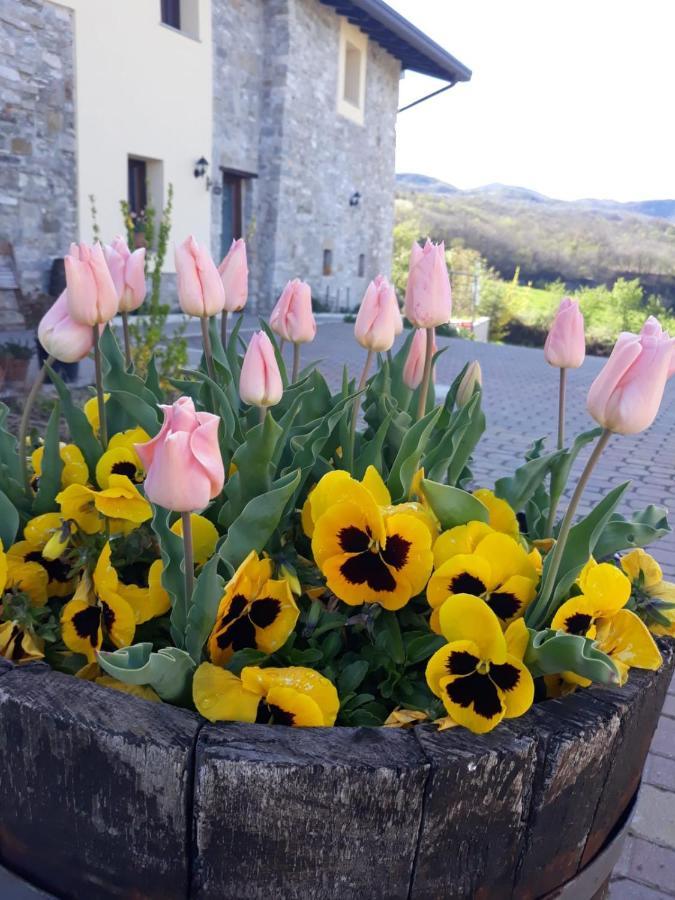 Poggio D'Incanto Bettola エクステリア 写真
